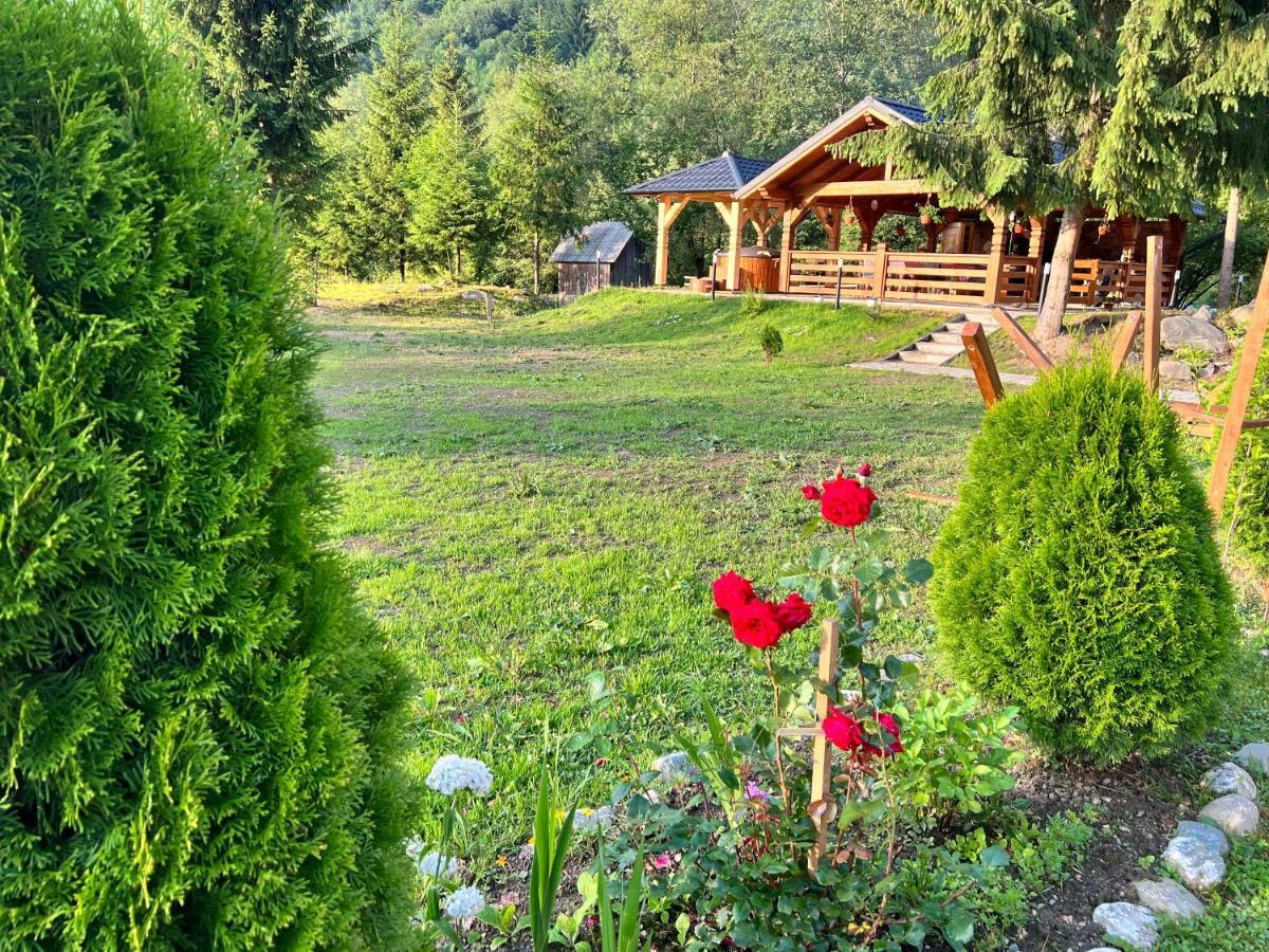 Pensiunea Pietrosul Rodnei Moisei Exterior foto
