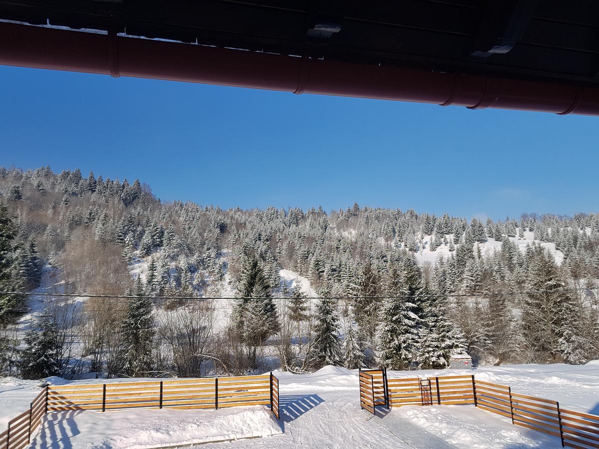 Pensiunea Pietrosul Rodnei Moisei Exterior foto
